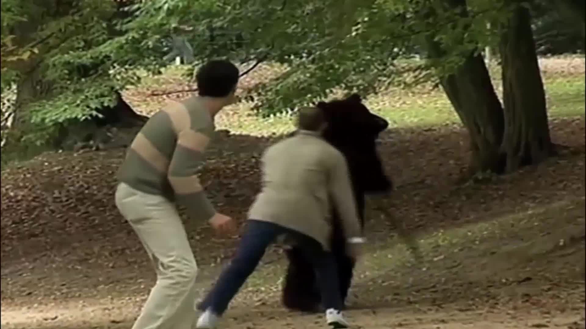 Bear Scaring Public